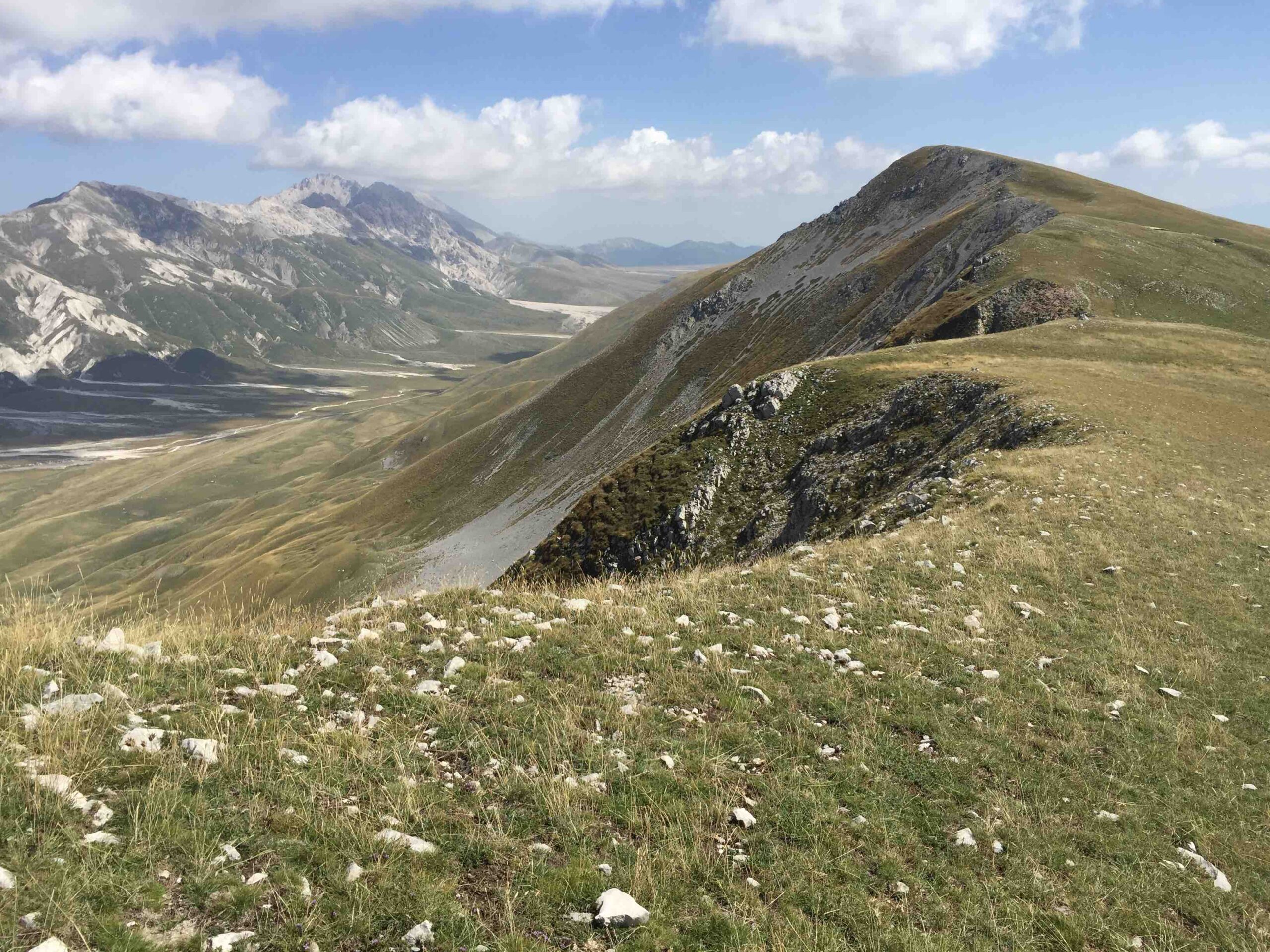 Passo Dopo Passo