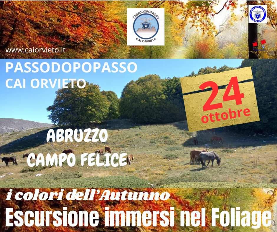 Passo Dopo Passo