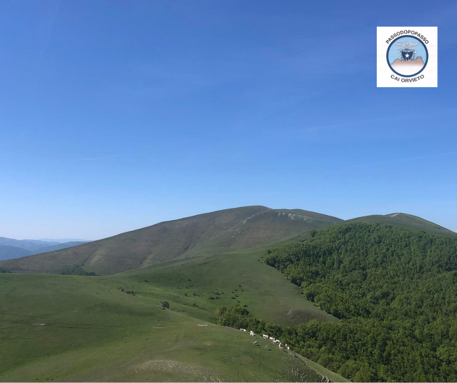 Passo Dopo Passo