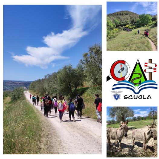 CAI scuola