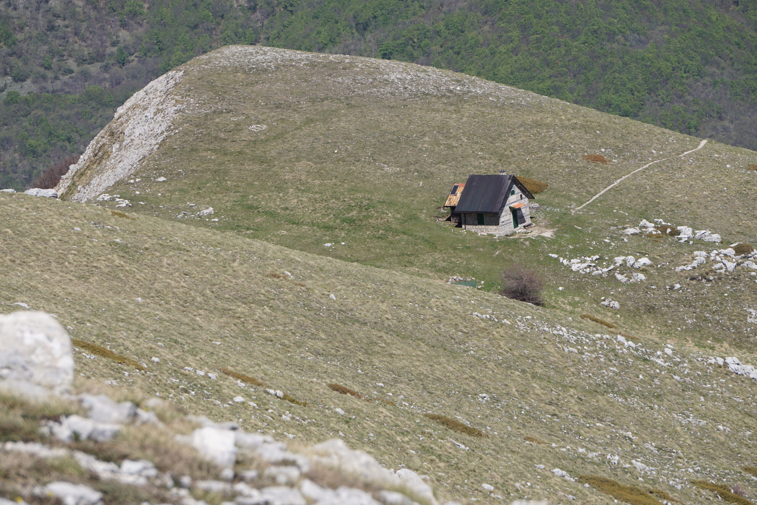Passo Dopo Passo